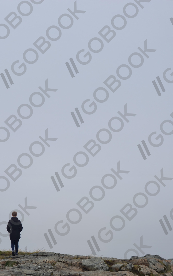 孤獨中的霧中漫步