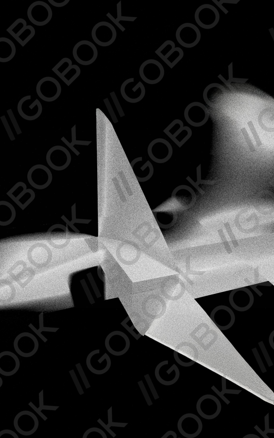 幽靈般的紙飛機