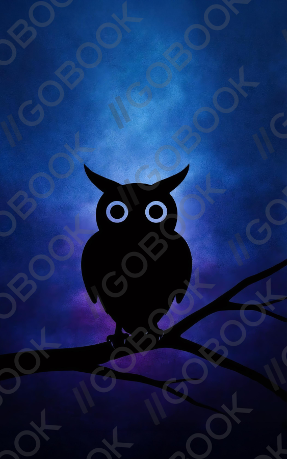 寂靜夜晚的守望者