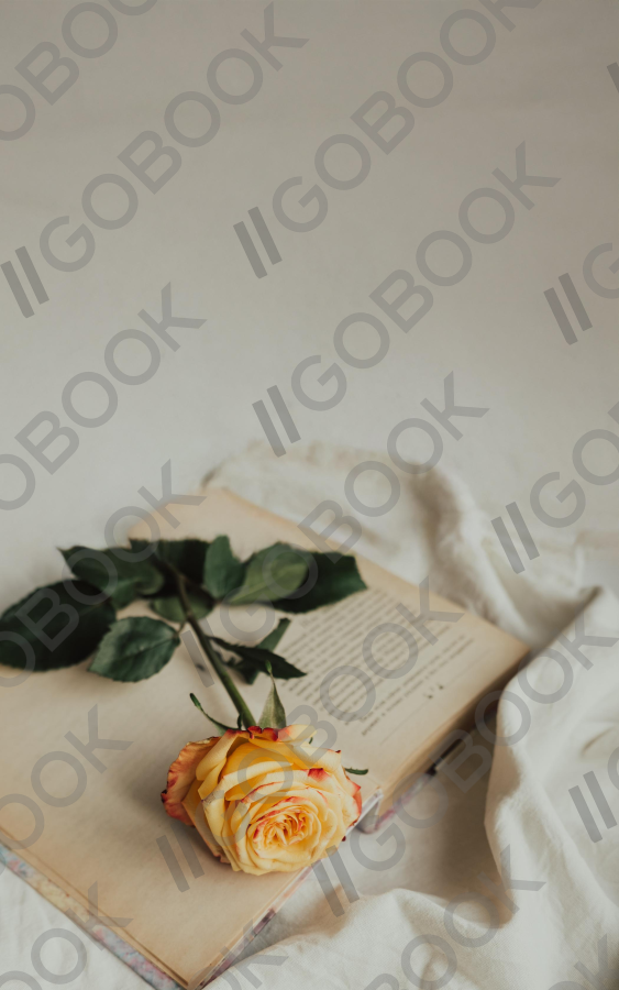 玫瑰書本寧靜